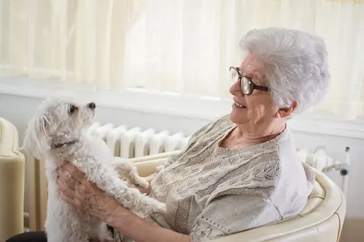 Stress-Free End-of-Life Techniques for Your Pet
