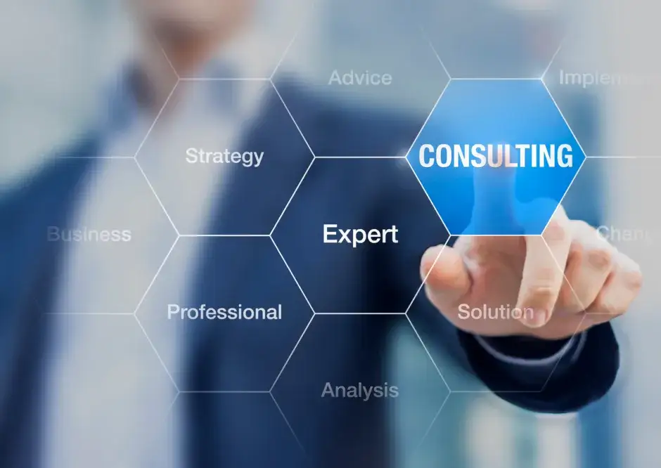 Understanding the Role of HR Consultants in Business Operations