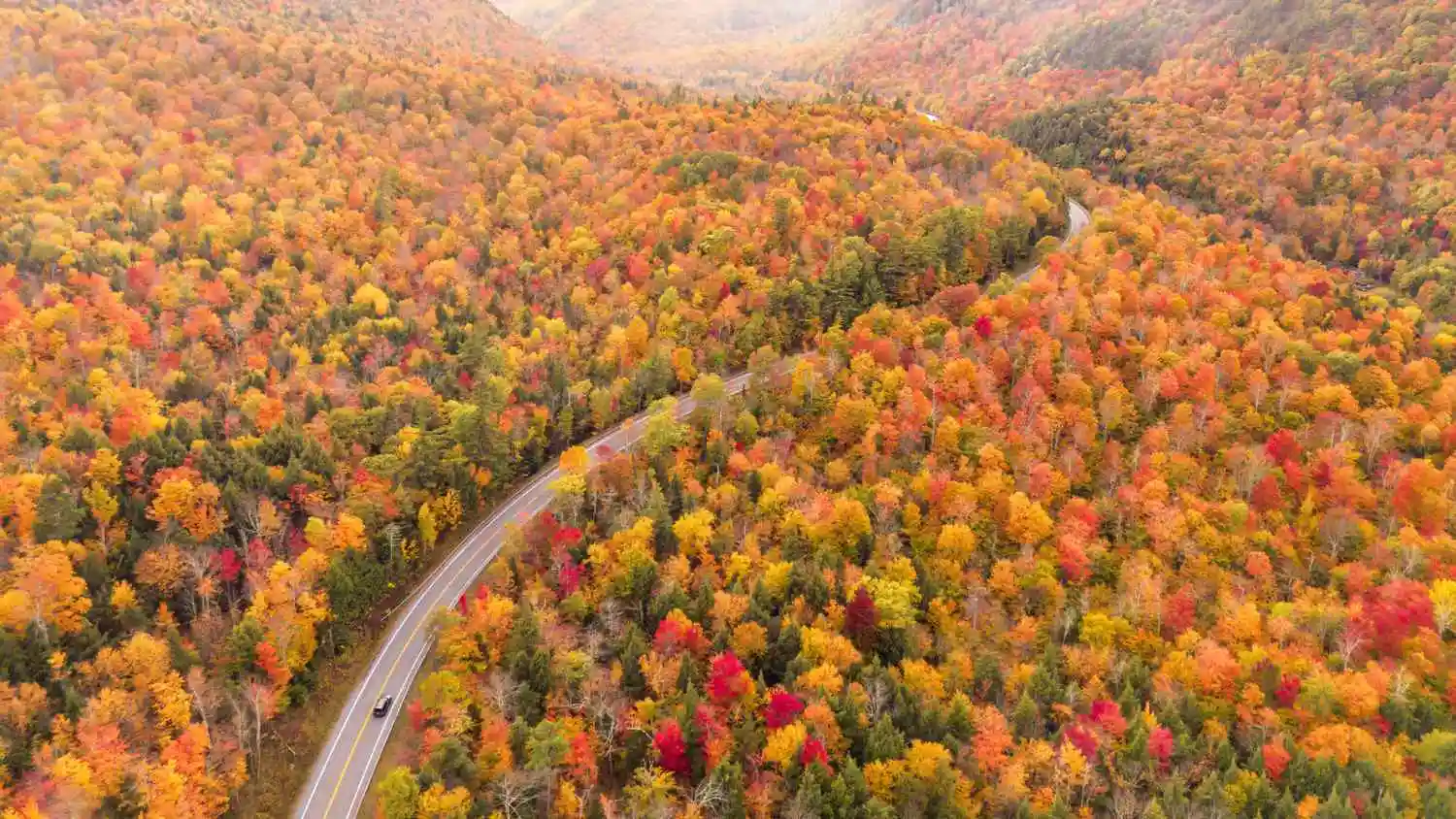 how long peak foliage lasts